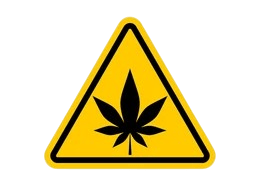 attention cannabis